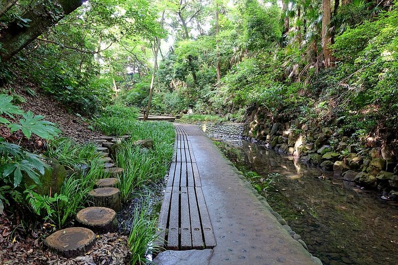 Todoroki Valley (Setagaya)