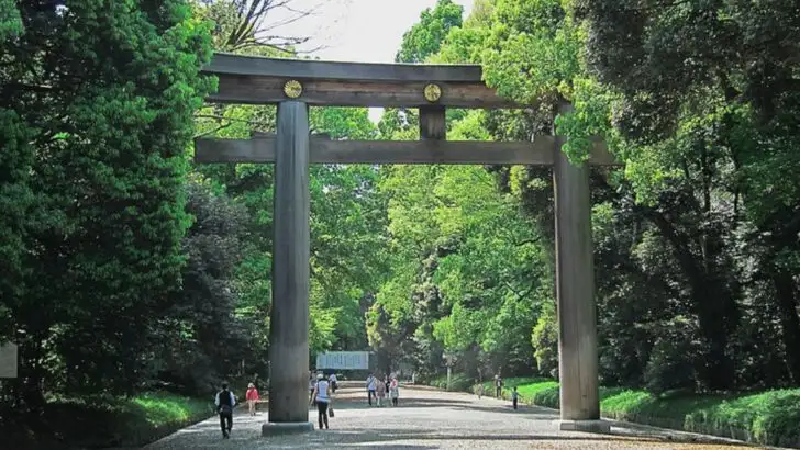 Between Tokyo and Hakone, 7 forested parks offer a peaceful break from Japan’s busiest corridors