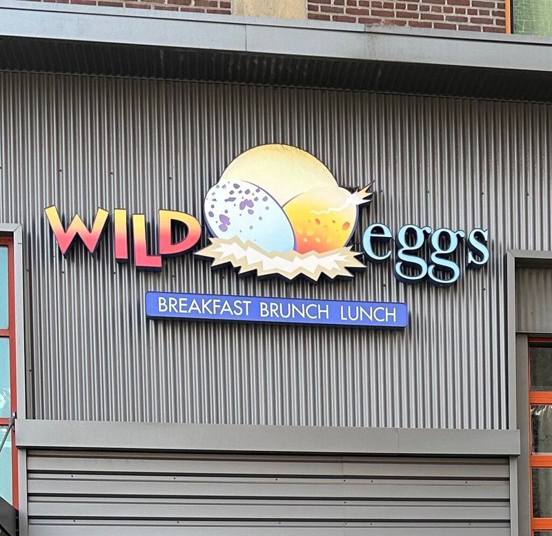 Wild Eggs - Louisville