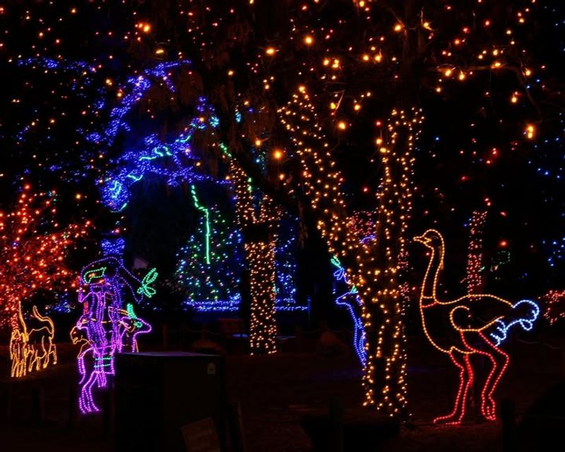 ZooLights at the Denver Zoo