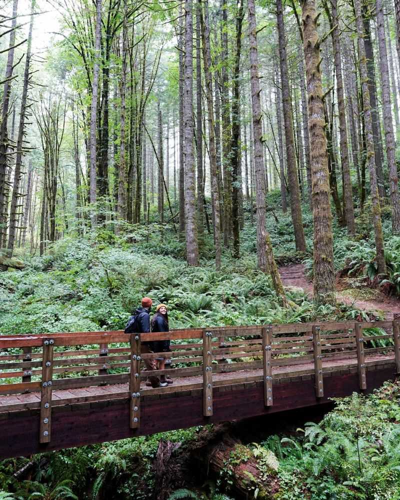 Beginner-Friendly Trails and Family Hikes