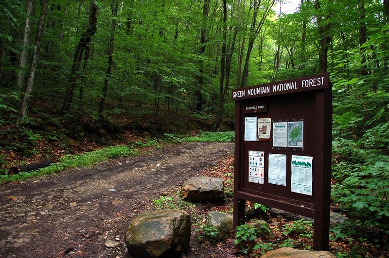 Rikert and Middlebury Gap Trails