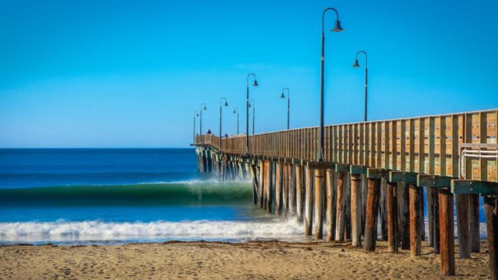 California’s Central Coast Escape Near Cambria Offers Ocean Vistas, Wineries, and Quiet Bluff Trails