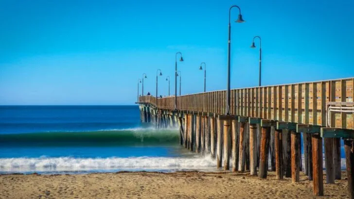 California’s Central Coast Escape Near Cambria Offers Ocean Vistas, Wineries, and Quiet Bluff Trails