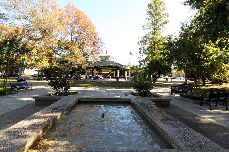 Healdsburg / Sonoma foothills, California