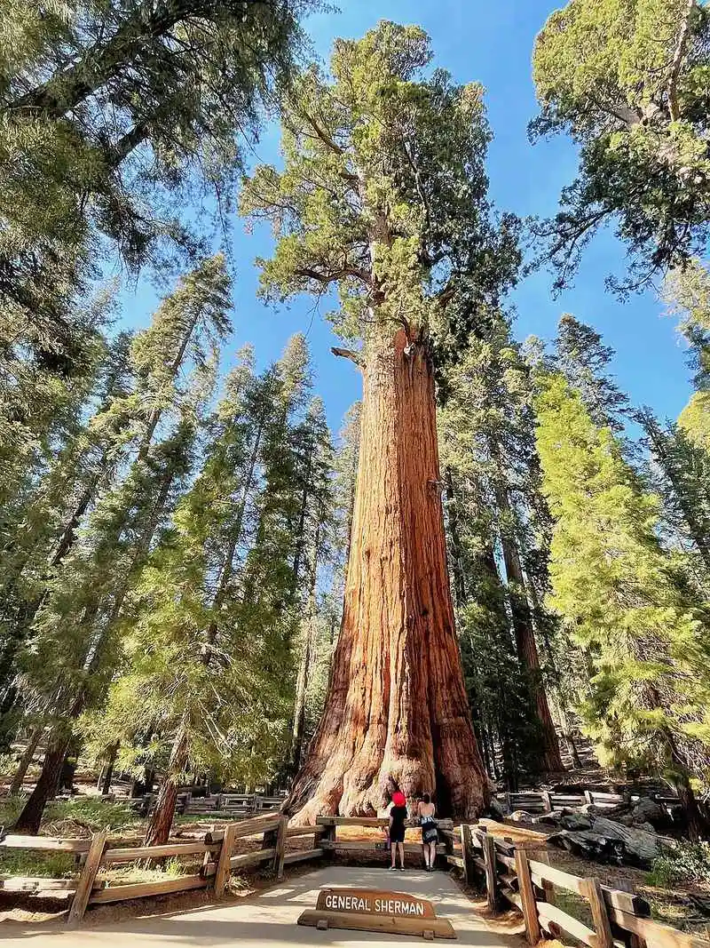 Sequoia National Park, California