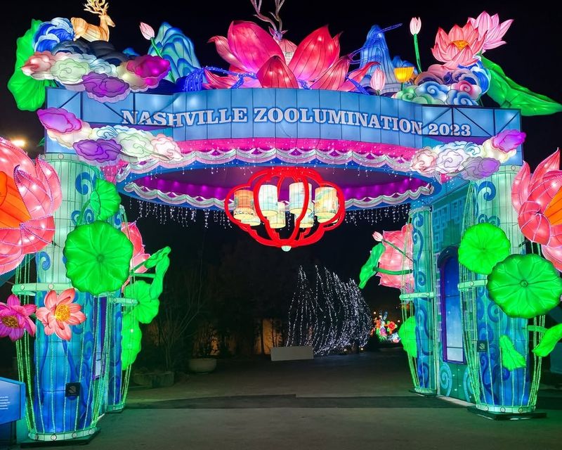 Zoolumination at Nashville Zoo