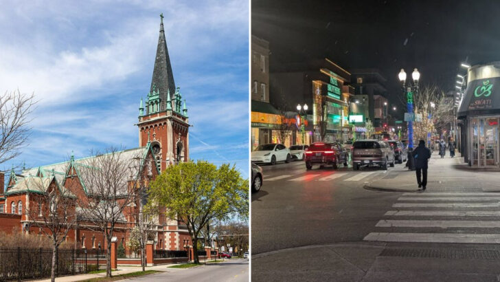 Chicago’s Devon Avenue remains one of the country’s strongest South Asian cultural corridors