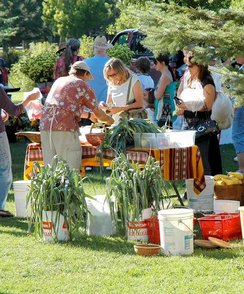 Livingston Farmers Market