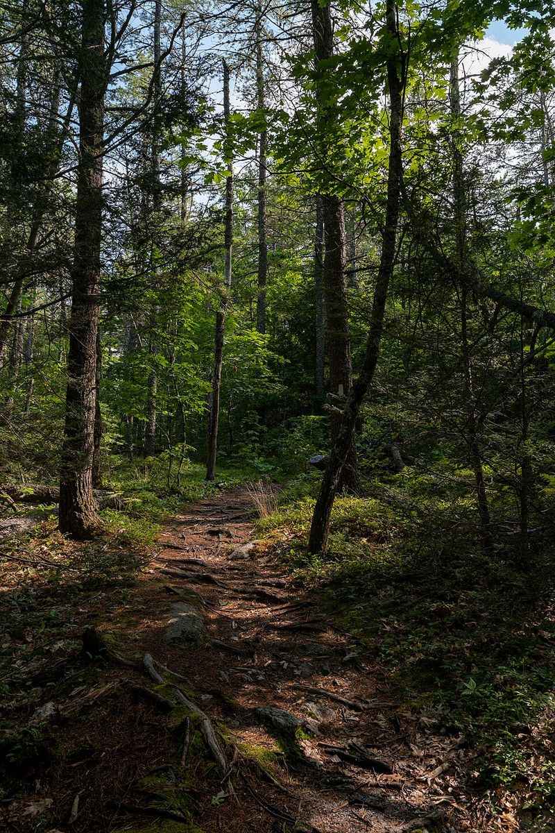 Thorne Head Preserve