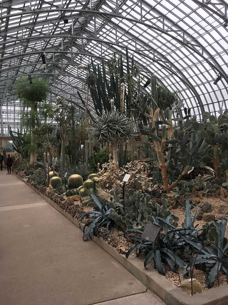 Garfield Park Conservatory Holiday Show