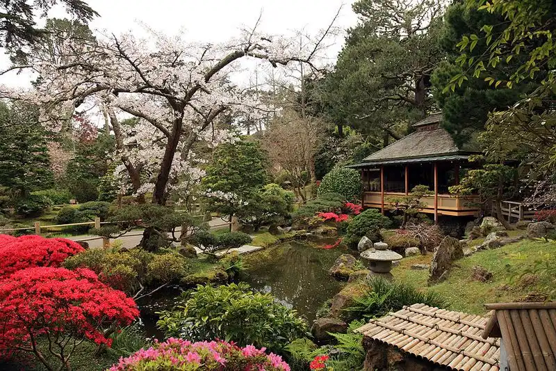 Japanese Tea Garden