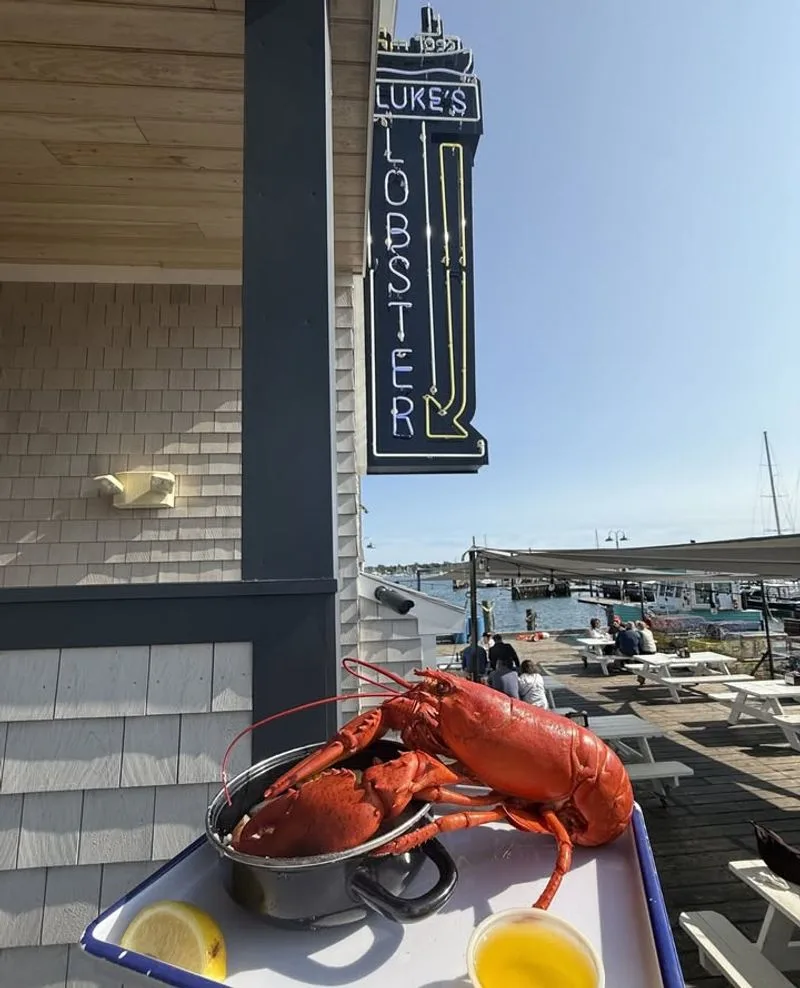 Whole Lobster Experience on the Pier