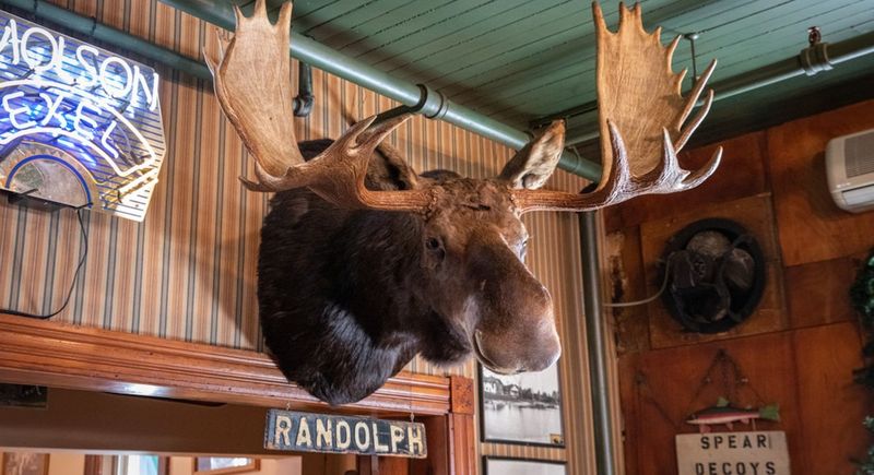 The Moose You’re Meant to Kiss