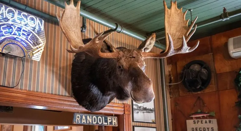 The Moose You’re Meant to Kiss