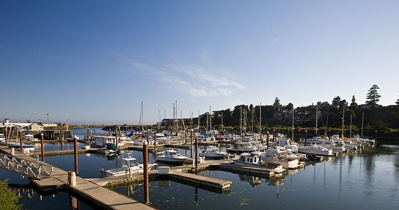Brookings Harbor — small harbor strolls plus nearby shoreline parks