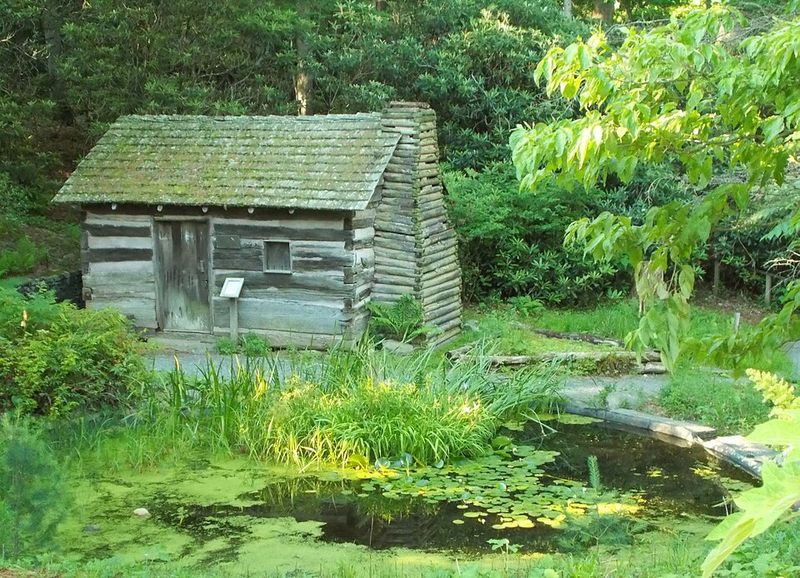 Daniel Boone Native Gardens
