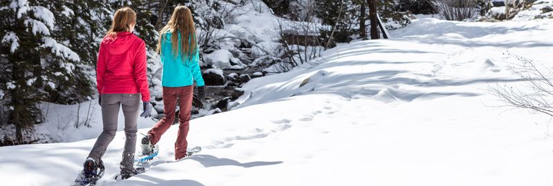 Sunlit Snowshoe Loops