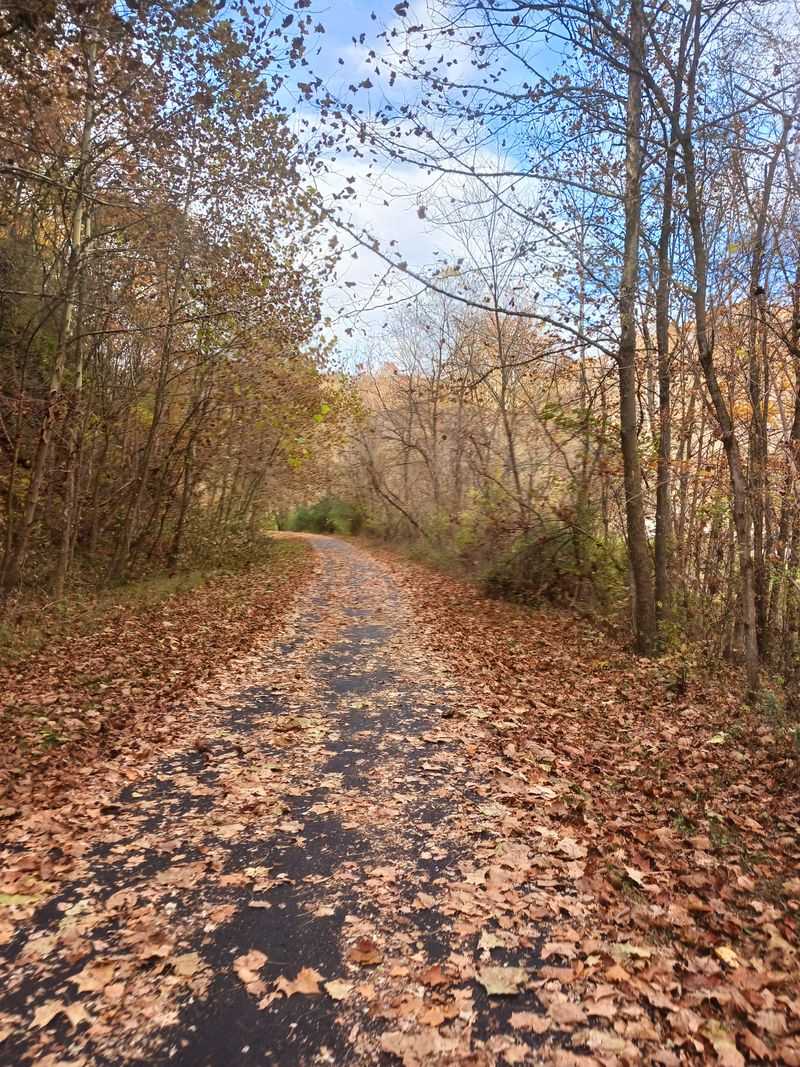 Panhandle Trails and Nearby Green Escapes