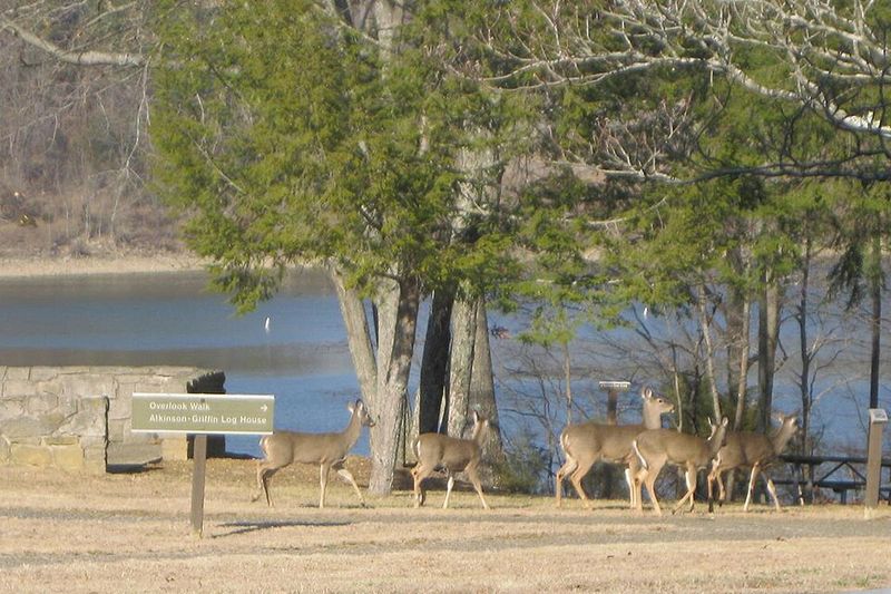 Green River Lake State Park, Kentucky