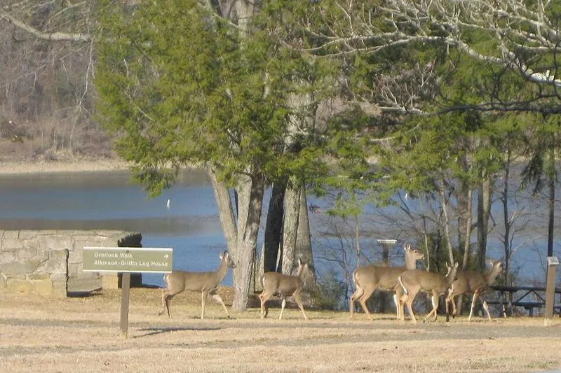 Green River Lake State Park, Kentucky