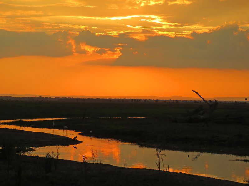 Gorongosa Region, Mozambique