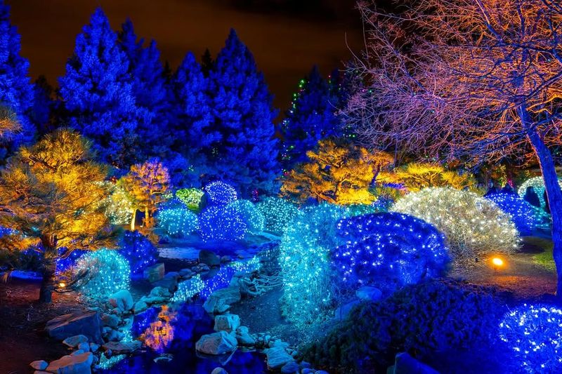 Blossoms of Light at Denver Botanic Gardens