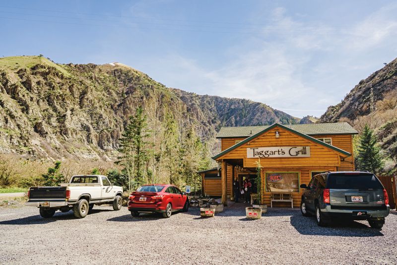 Atmosphere: Peacocks, Deer, and Canyon Calm