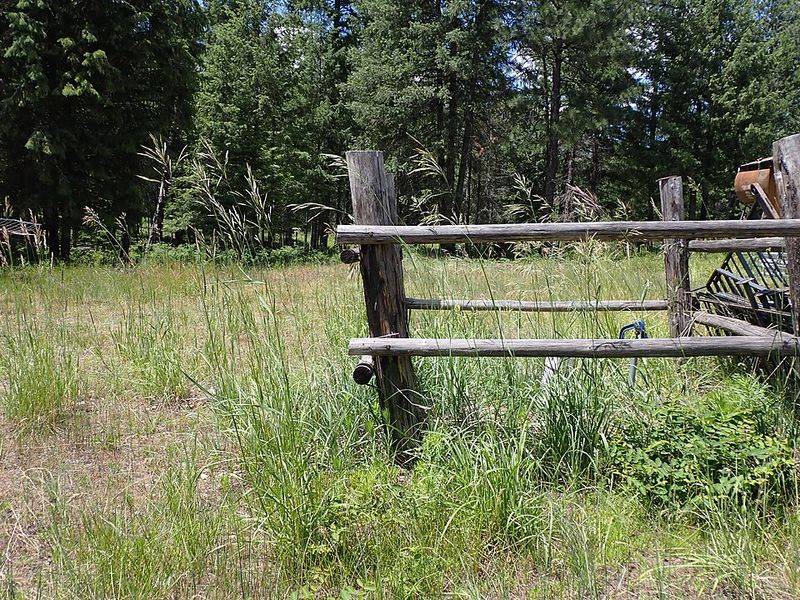 Camping and RV Sites