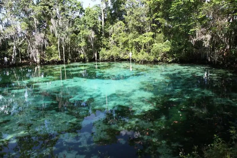 Crystal River and Three Sisters Springs
