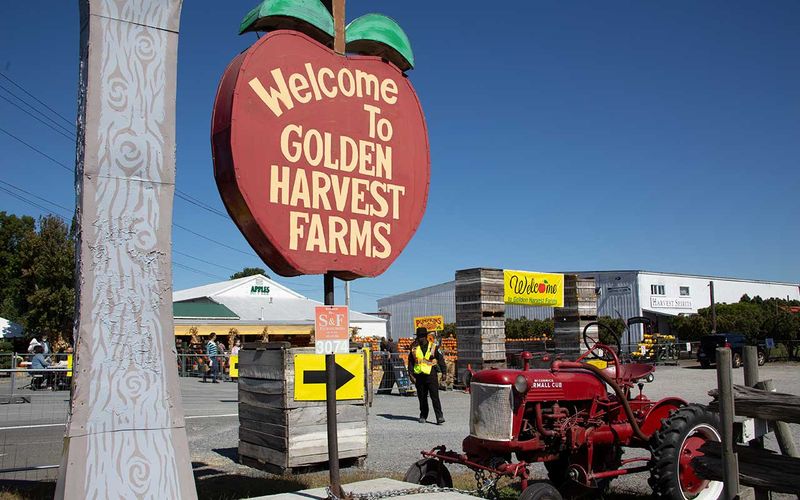 Golden Harvest Farms