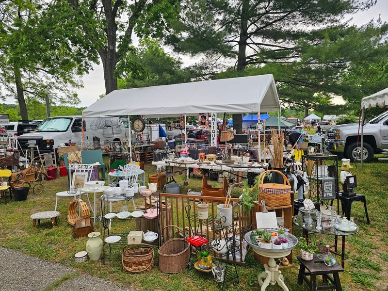 Allegan Antique Market—Allegan