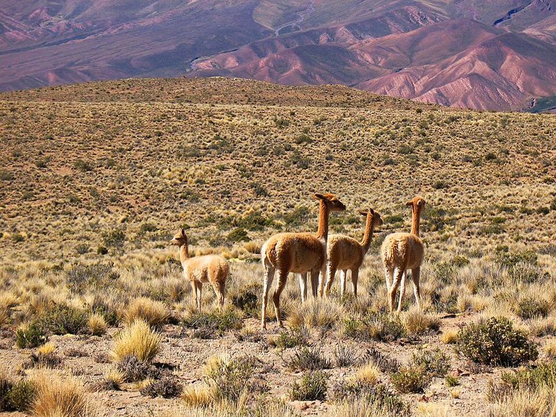 Quebrada de Humahuaca, Jujuy