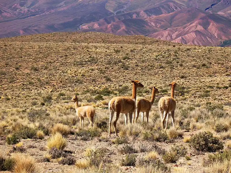 Quebrada de Humahuaca, Jujuy