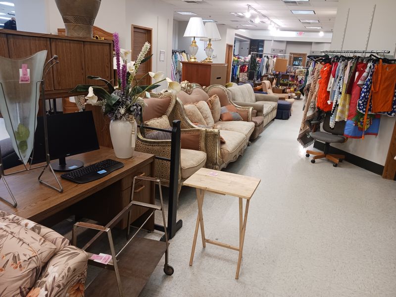 Timing Your Visit For Fresh Stock