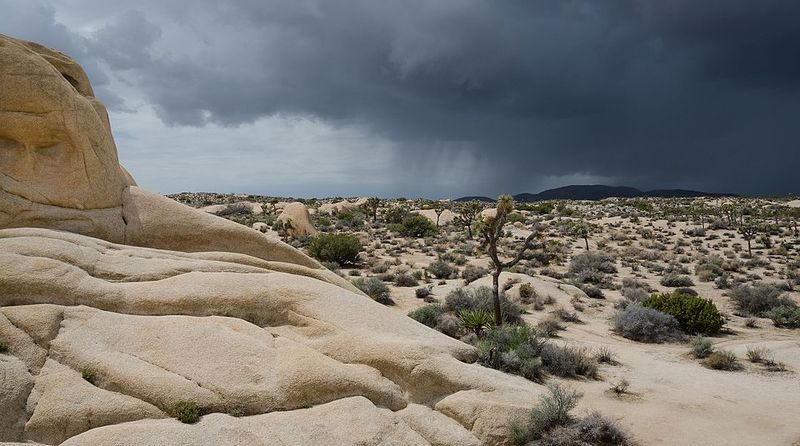 Joshua Tree National Park