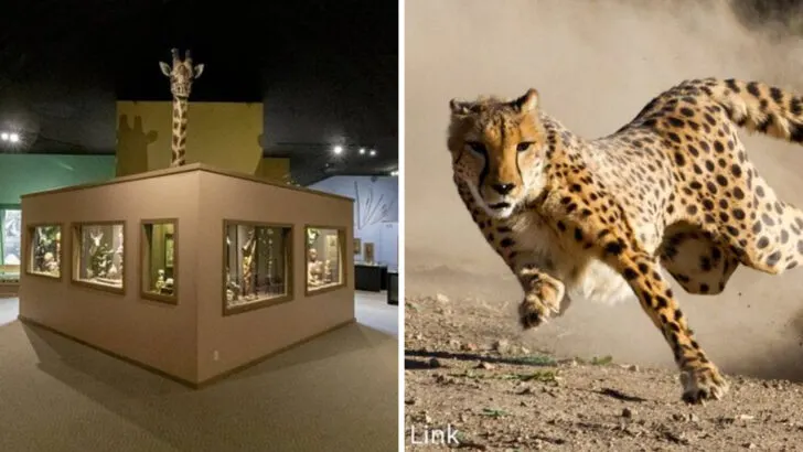 Exploring Reno? 10 experiences that prove there’s more here than casinos