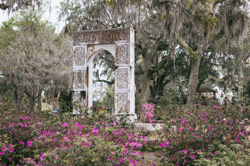 Bonaventure Cemetery