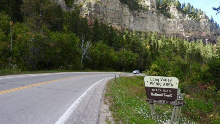 Families Will Love 9 South Dakota Black Hills Towns Filled with Wildlife Parks and Winding Drives