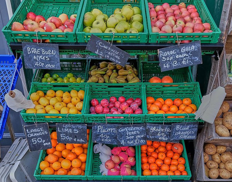 Driving to Pick Fresh Fruit – Pacific Northwest