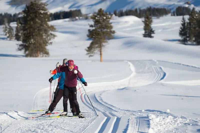 Nordic Loops Around Town