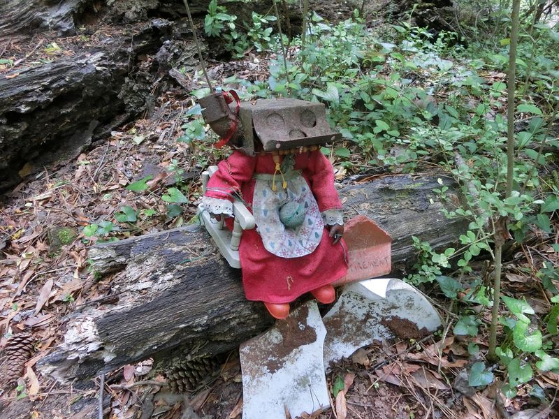 Georgia – Doll’s Head Trail