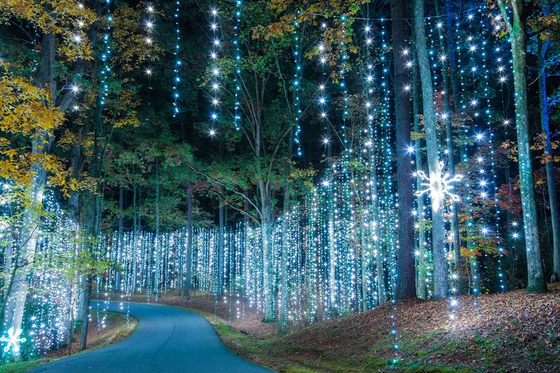 Georgia – Callaway Gardens “Fantasy in Lights”