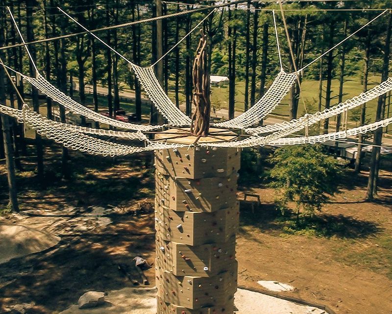 The Beanstalk Journey