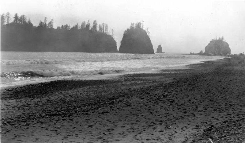 La Push Beaches