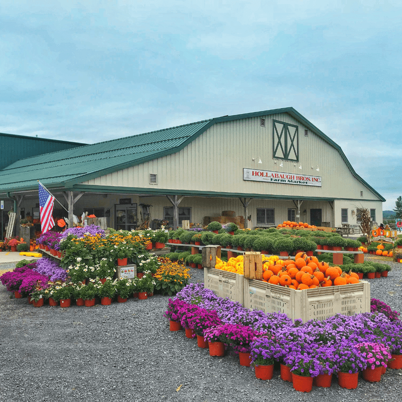 Hollabaugh Bros. Fruit Farm & Market — Biglerville
