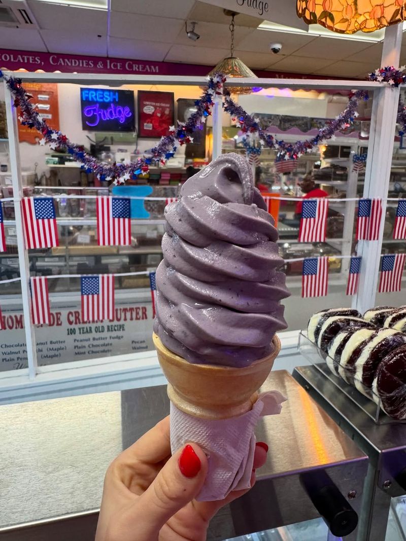 Blueberry Soft-Serve at Roadside Stands