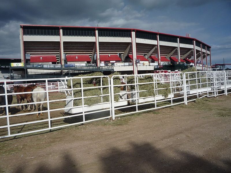 Ranch & Rodeo Weekends — Cheyenne, Wyoming (Cheyenne Frontier Days)