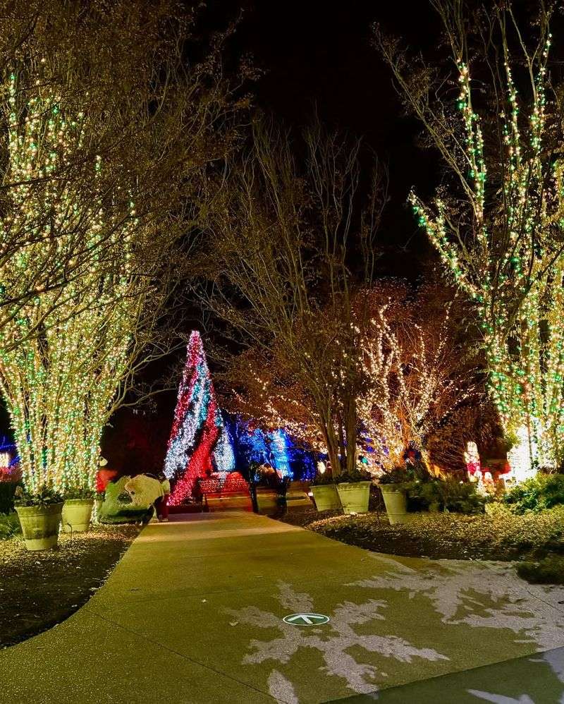 Cheekwood’s Holiday LIGHTS
