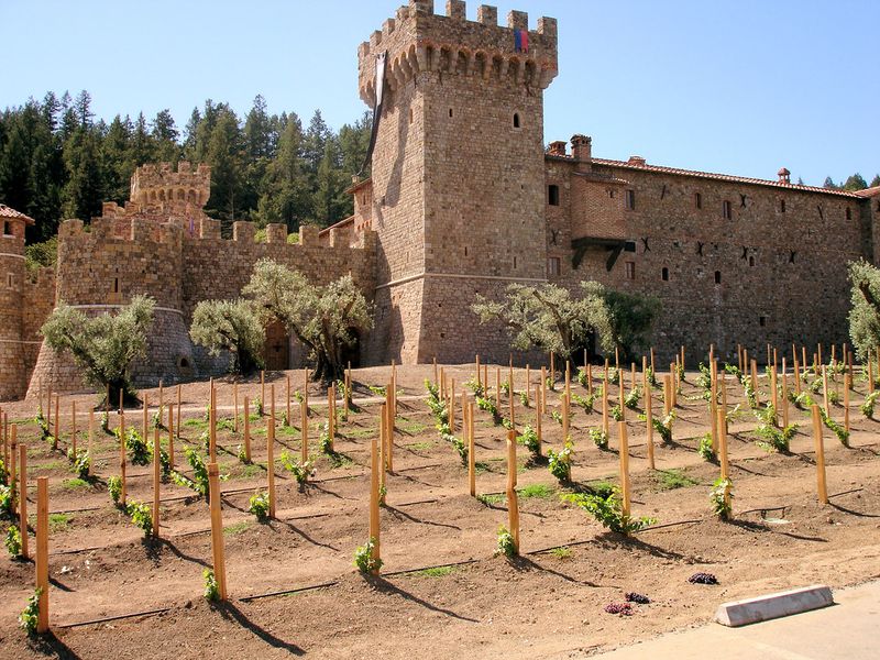 Napa Valley, California